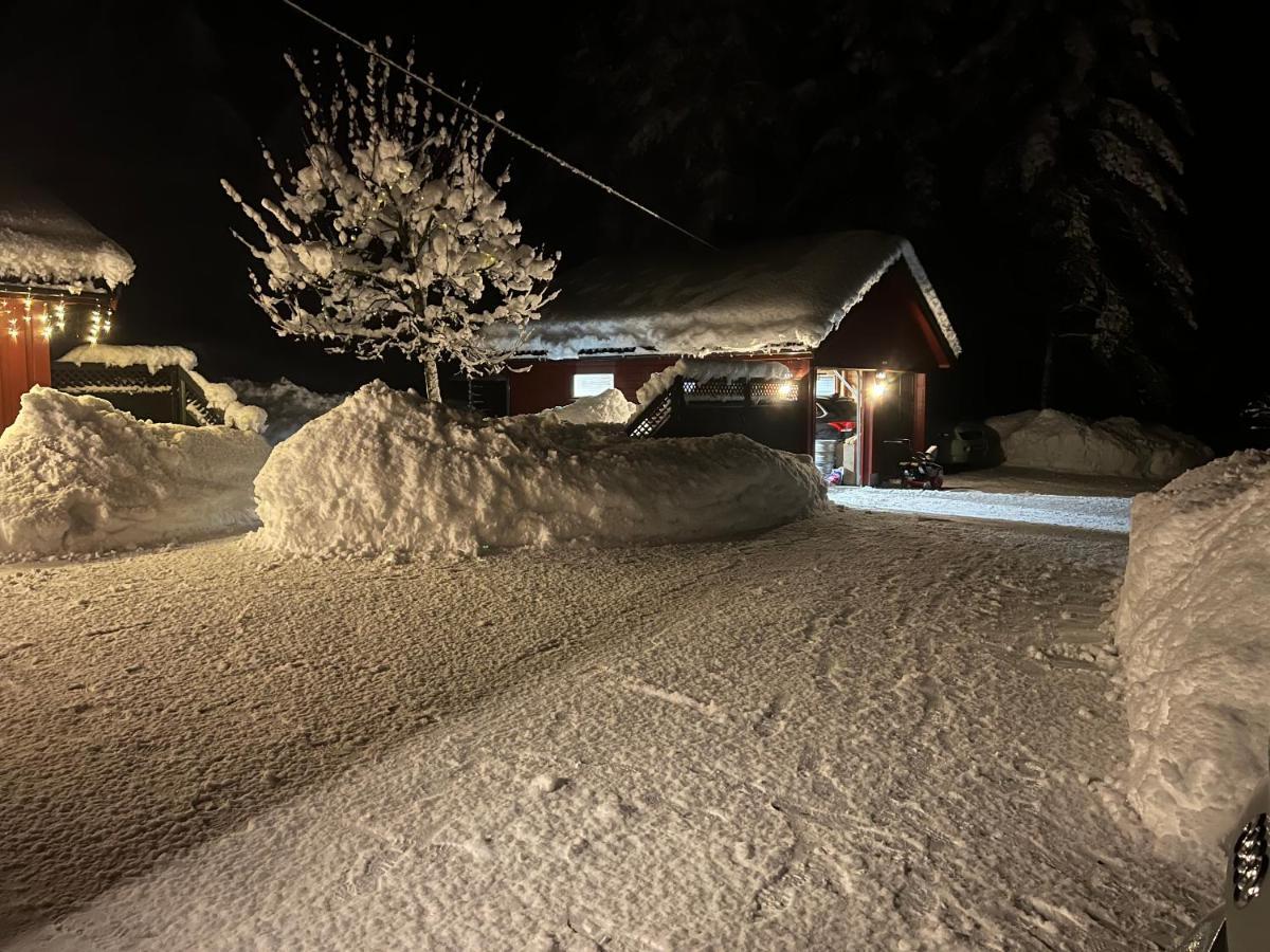 Oggevatn Apartment Birkenes Luaran gambar
